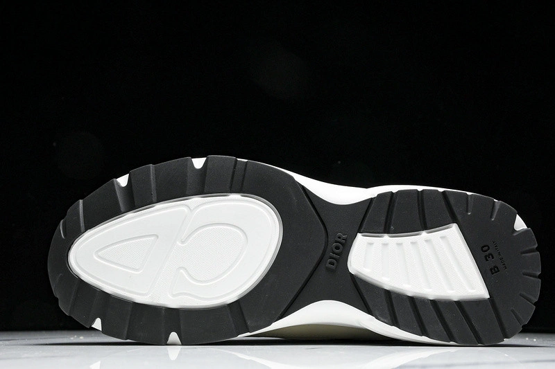 Dior B30 SNEAKER