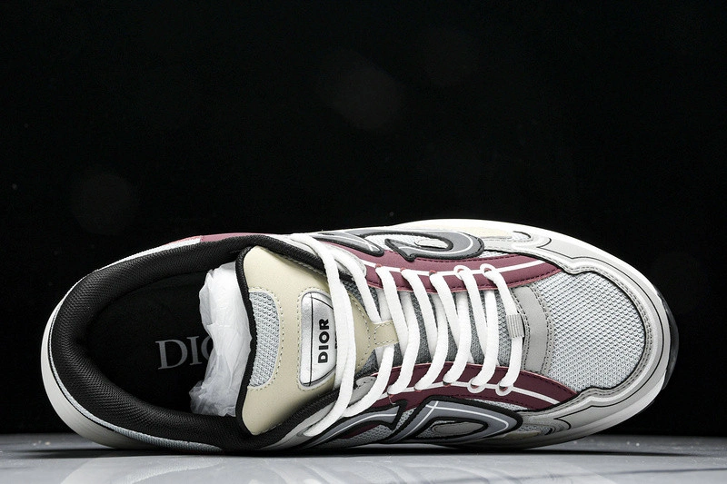 Dior B30 SNEAKER
