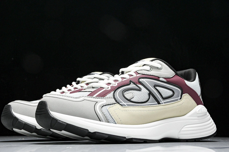 Dior B30 SNEAKER