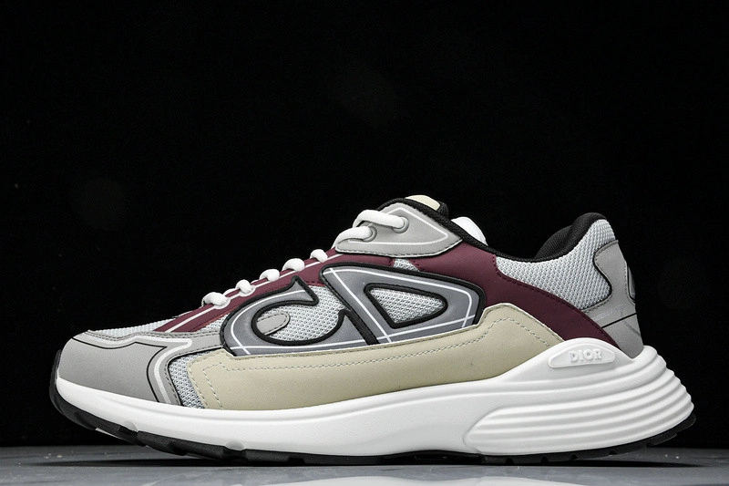Dior B30 SNEAKER