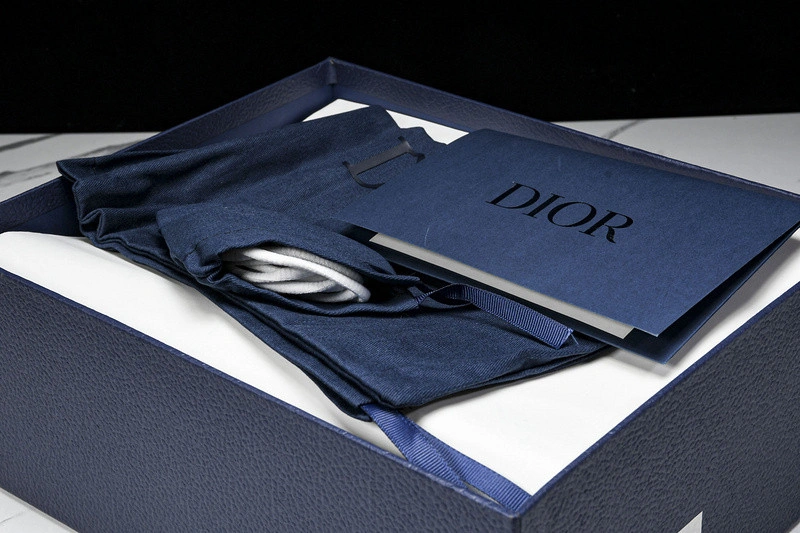 Dior B30 SNEAKER