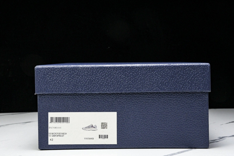 Dior B30 SNEAKER