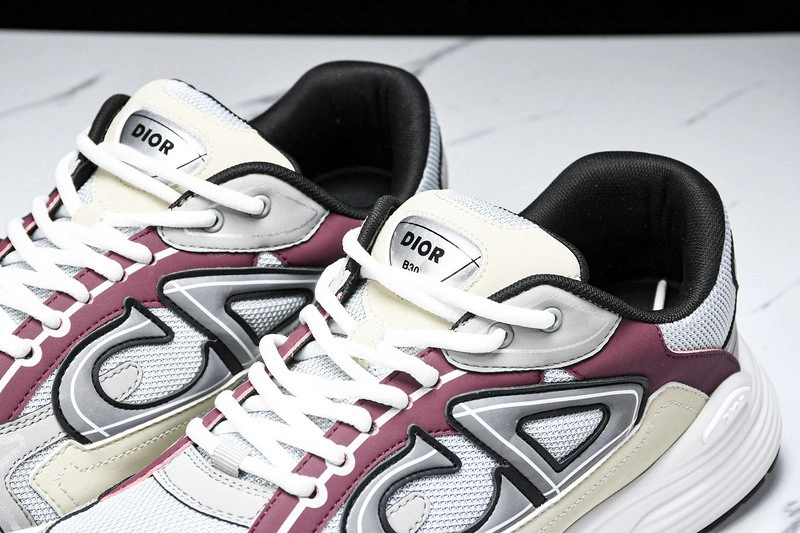 Dior B30 SNEAKER