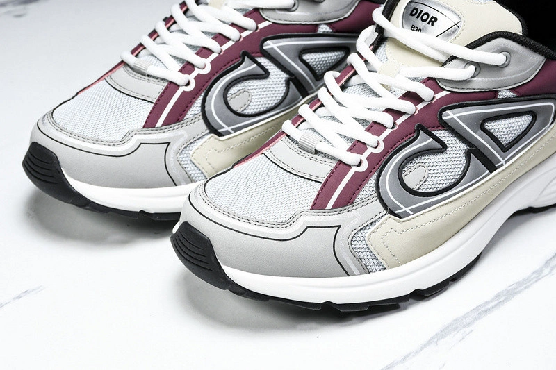 Dior B30 SNEAKER