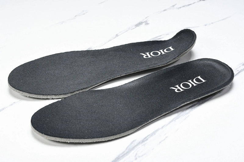 Dior B30 SNEAKER