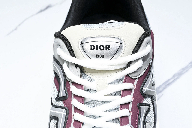 Dior B30 SNEAKER