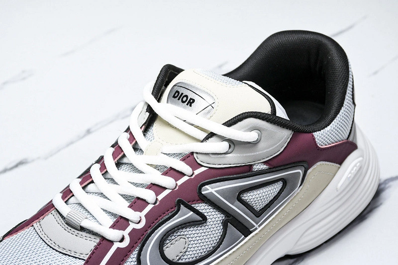 Dior B30 SNEAKER