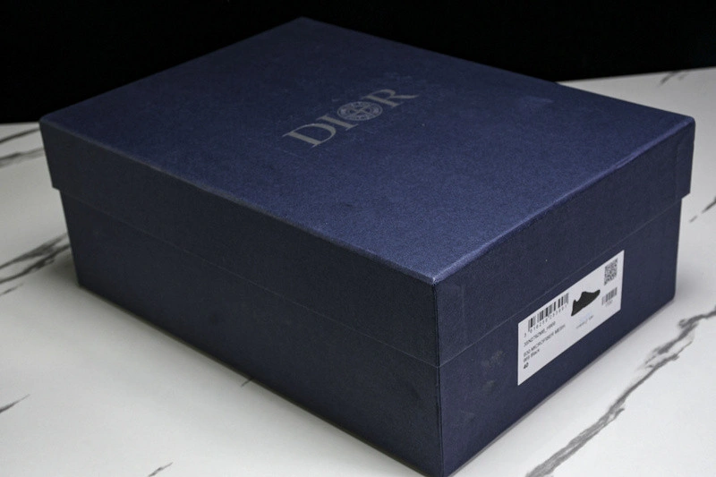 Dior B30 SNEAKER