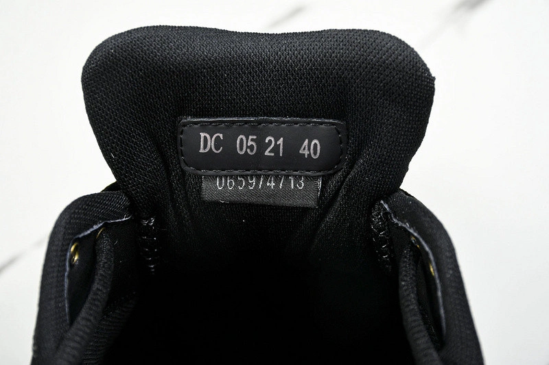 Dior B30 SNEAKER