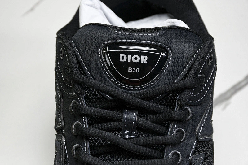 Dior B30 SNEAKER
