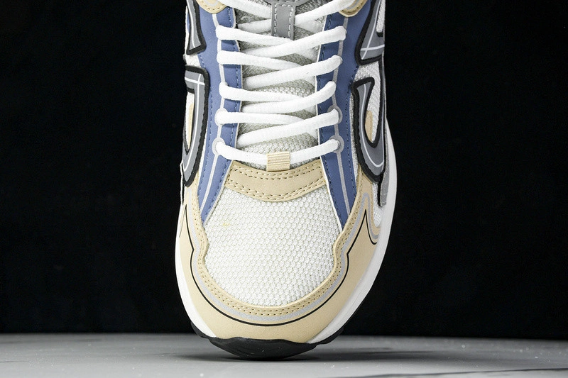 Dior B30 SNEAKER