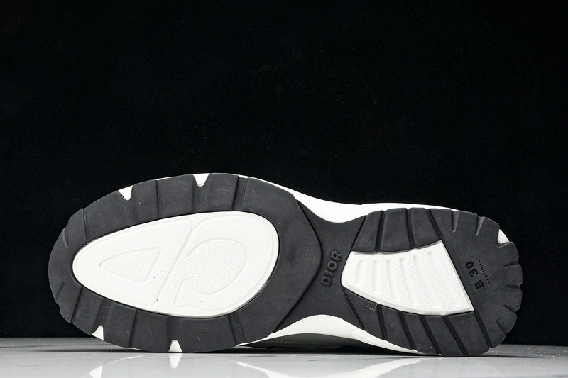 Dior B30 SNEAKER