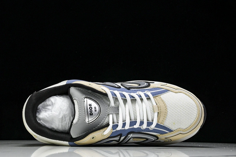Dior B30 SNEAKER