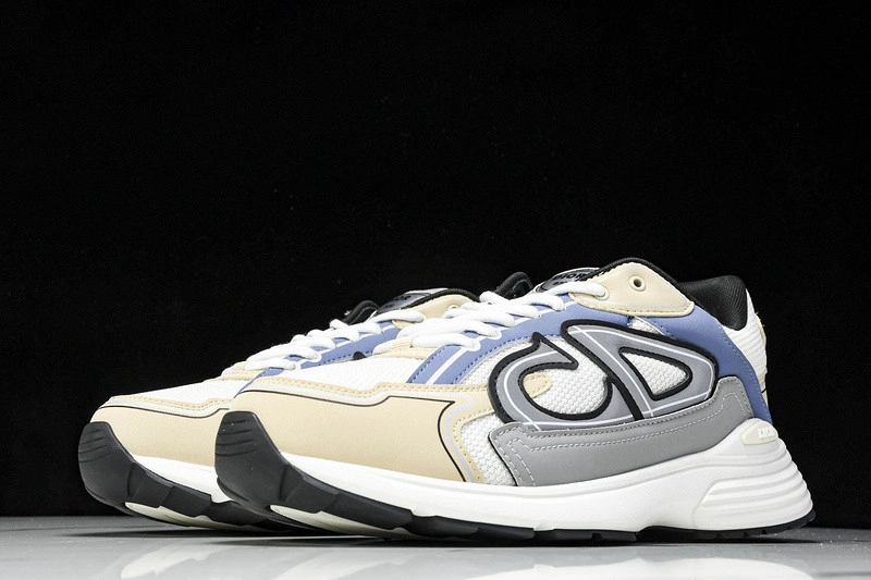 Dior B30 SNEAKER