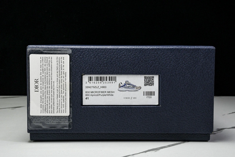 Dior B30 SNEAKER