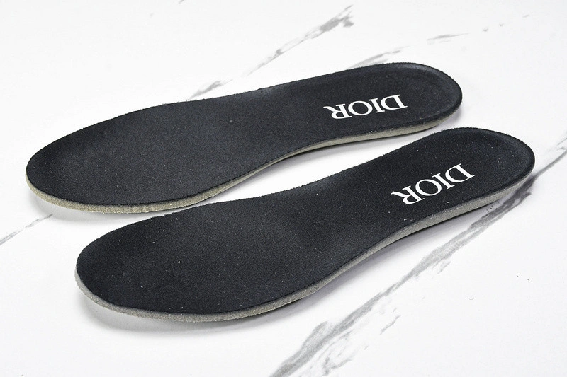 Dior B30 SNEAKER