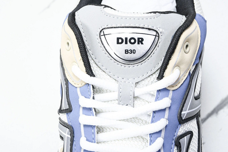 Dior B30 SNEAKER
