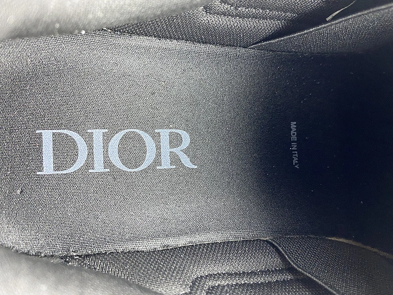 Dior B30 SNEAKER