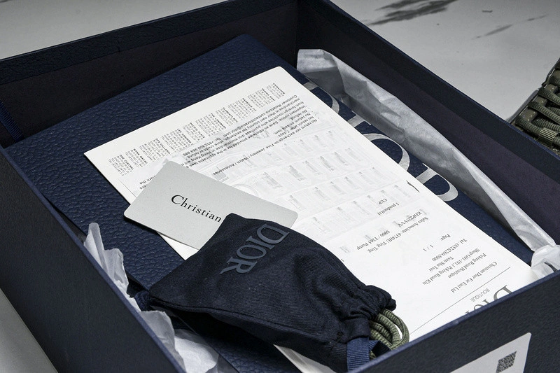 Dior B30 SNEAKER