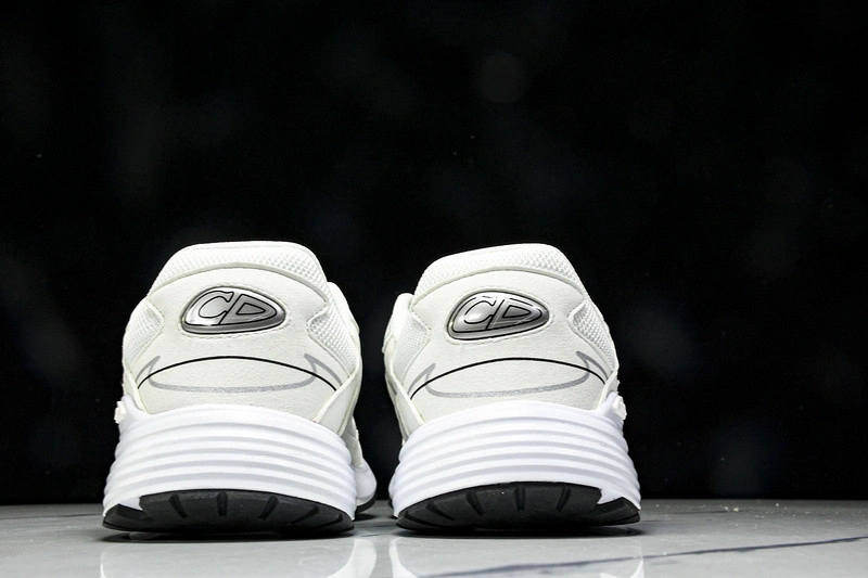 Dior B30 SNEAKER