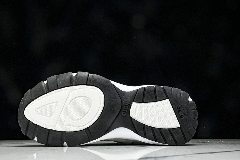Dior B30 SNEAKER