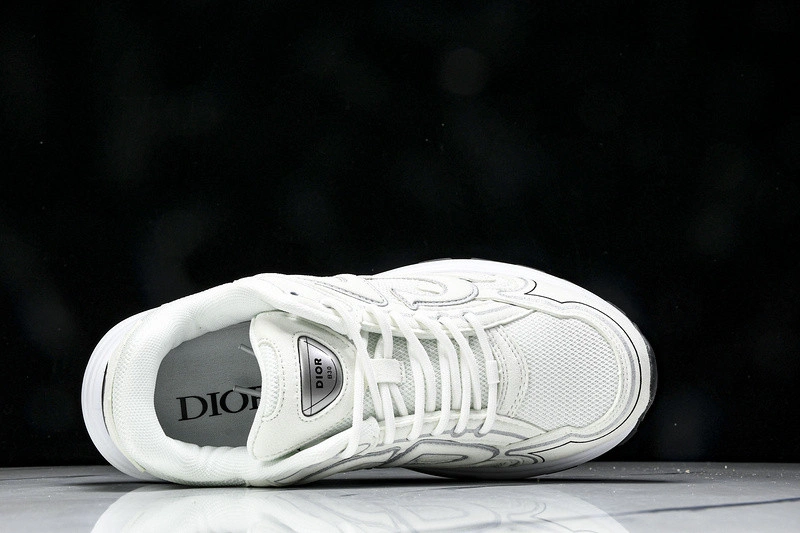 Dior B30 SNEAKER