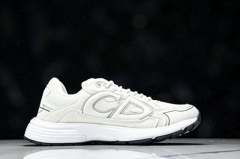 Dior B30 SNEAKER
