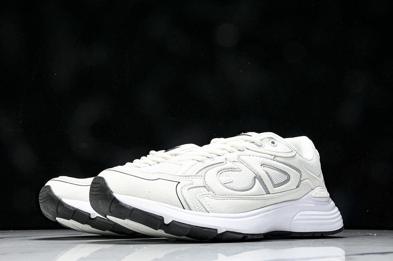 Dior B30 SNEAKER