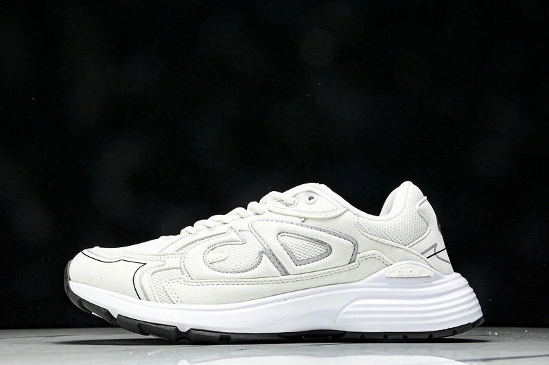 Dior B30 SNEAKER