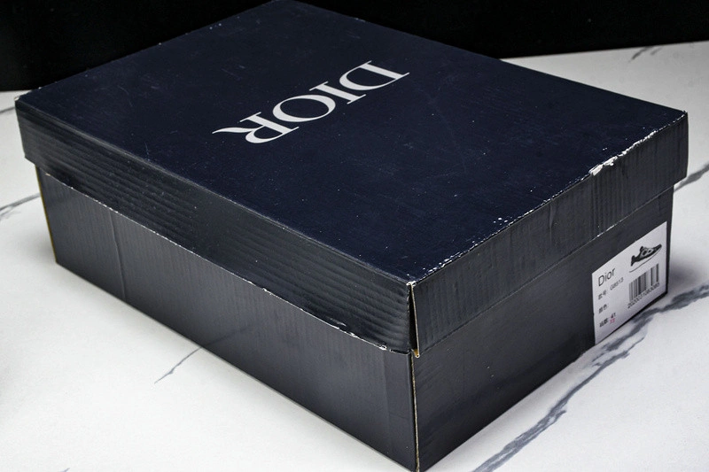 Dior B30 SNEAKER