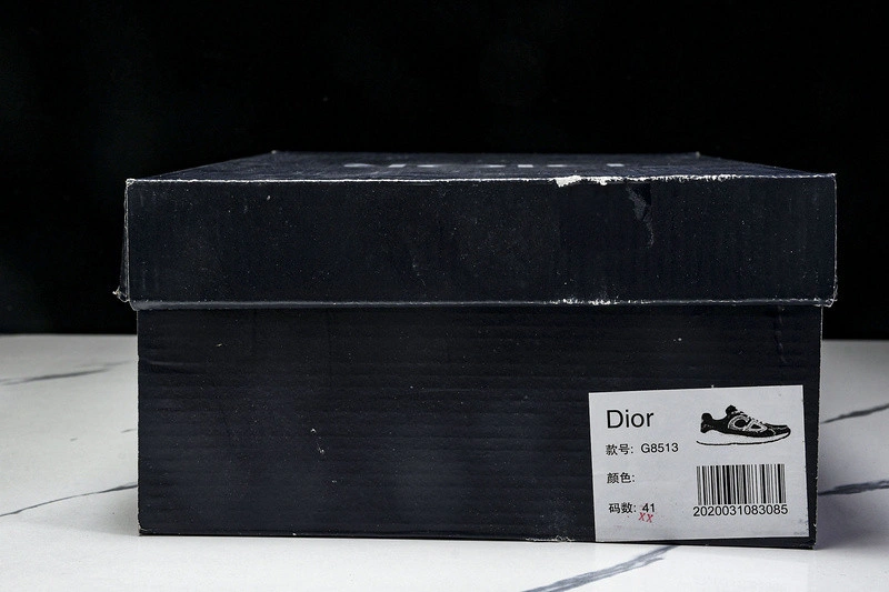 Dior B30 SNEAKER