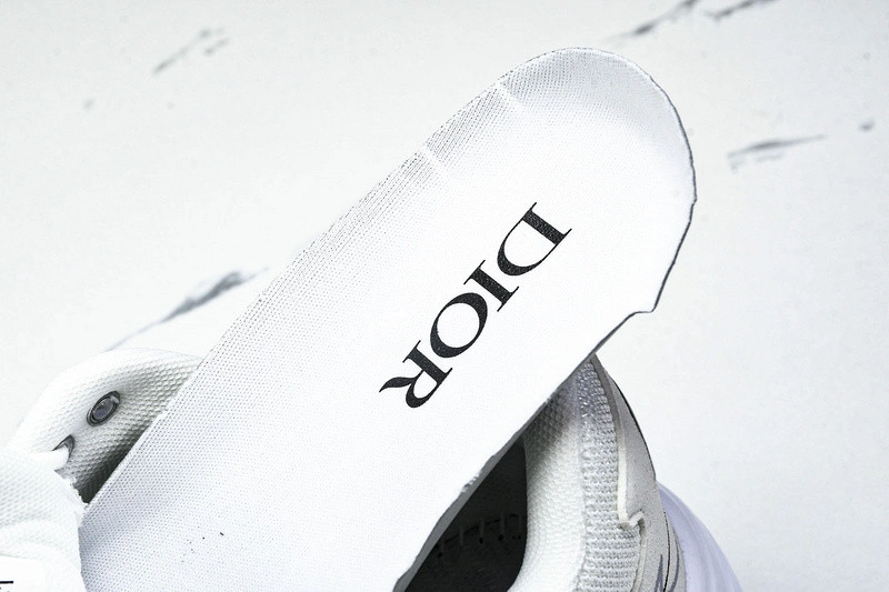 Dior B30 SNEAKER