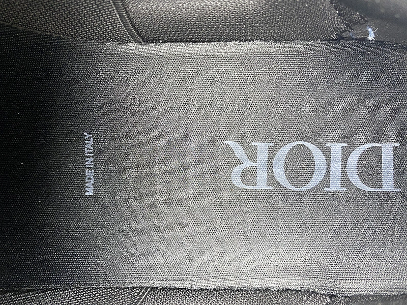 Dior B30 SNEAKER