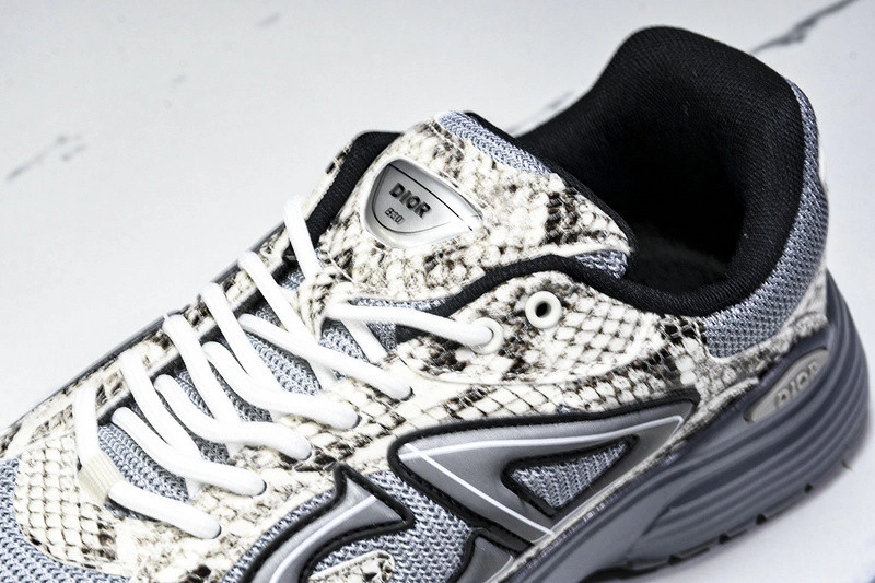 Dior B30 SNEAKER