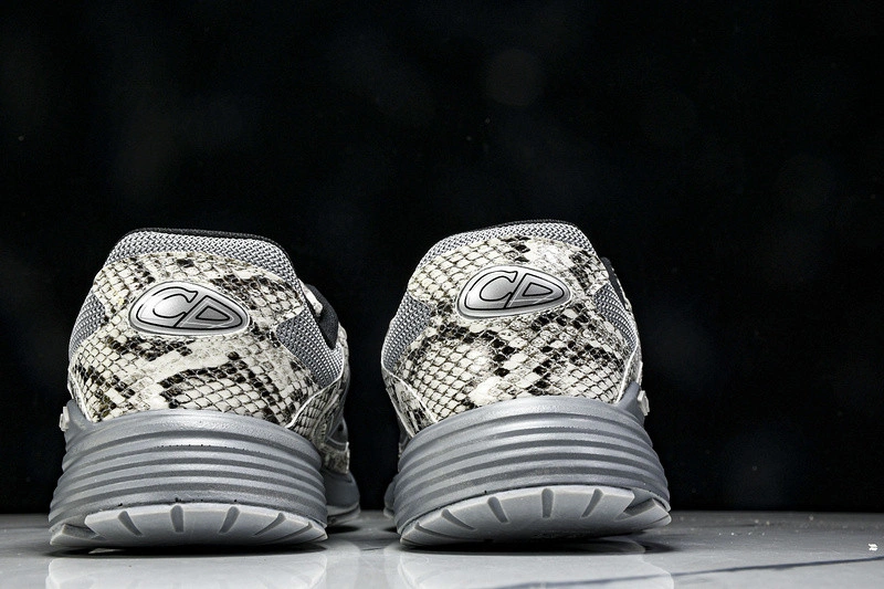 Dior B30 SNEAKER