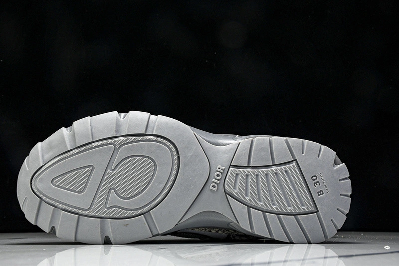 Dior B30 SNEAKER