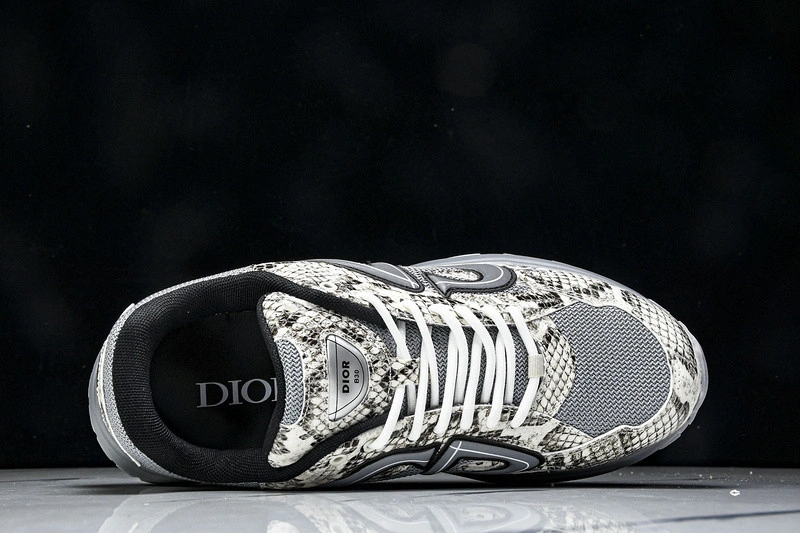 Dior B30 SNEAKER