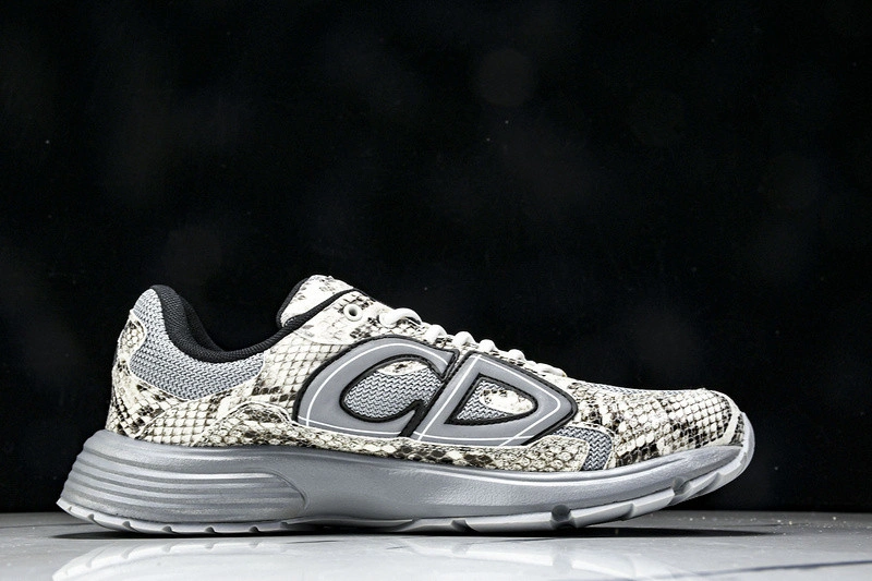 Dior B30 SNEAKER