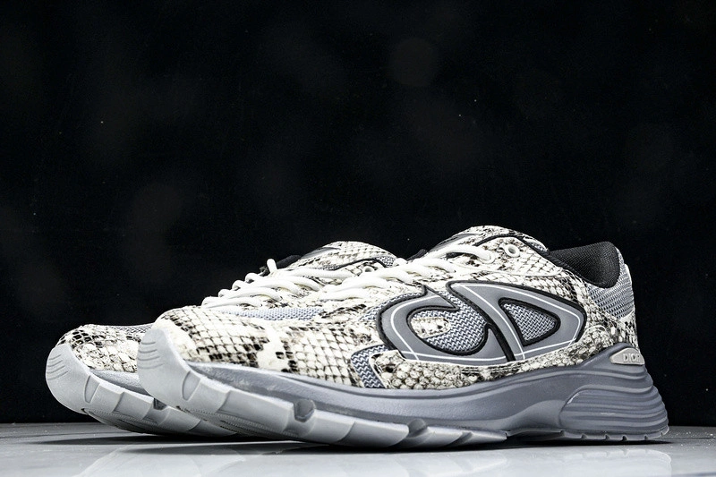Dior B30 SNEAKER