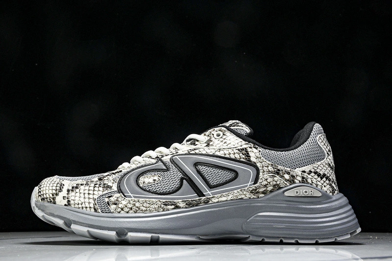 Dior B30 SNEAKER