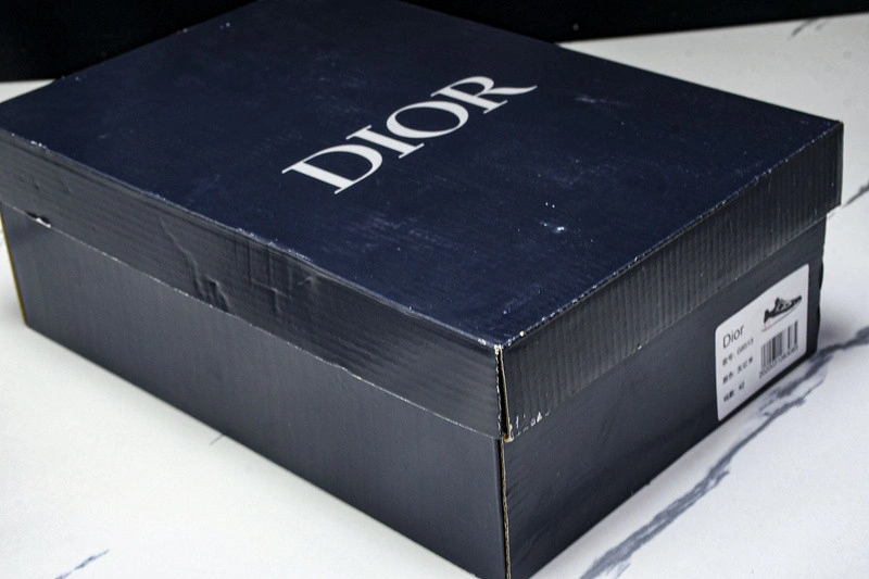 Dior B30 SNEAKER
