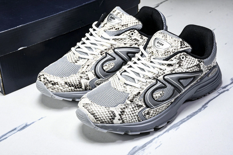 Dior B30 SNEAKER