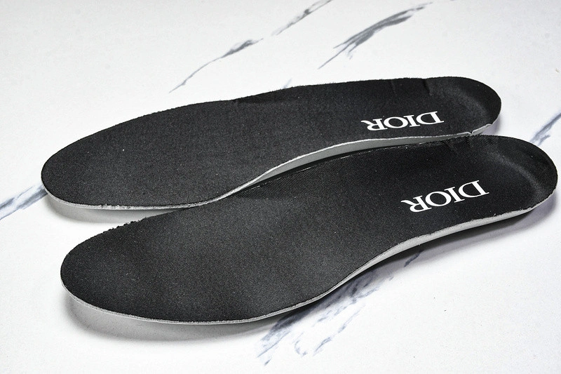 Dior B30 SNEAKER