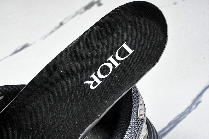 Dior B30 SNEAKER