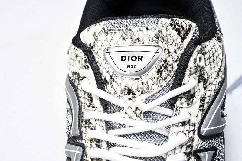Dior B30 SNEAKER