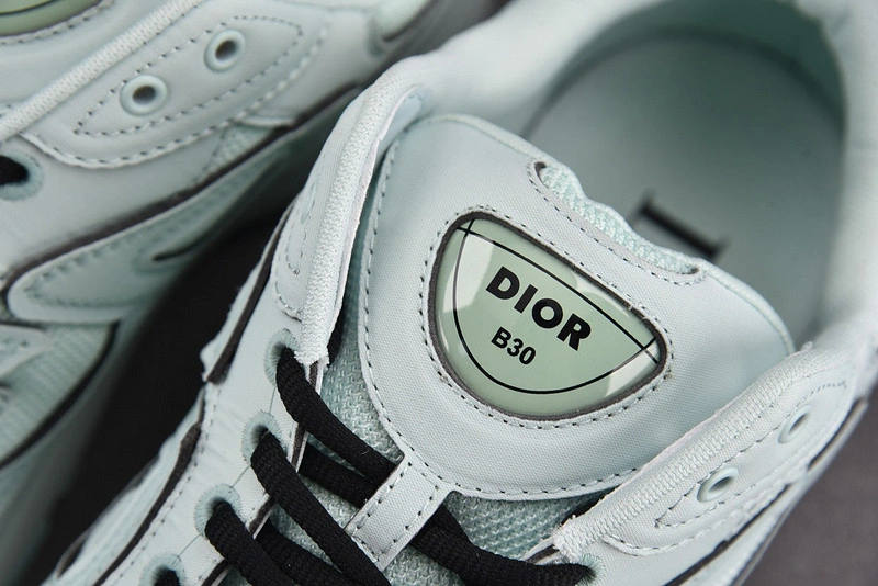 Dior B30 SNEAKER