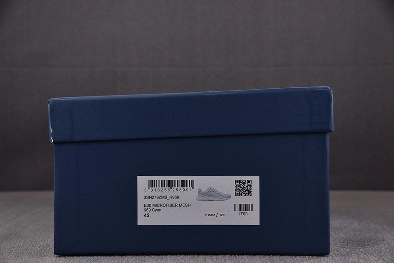 Dior B30 SNEAKER
