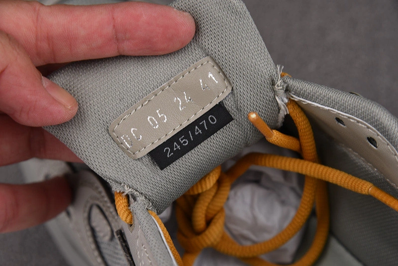 Dior B30 SNEAKER
