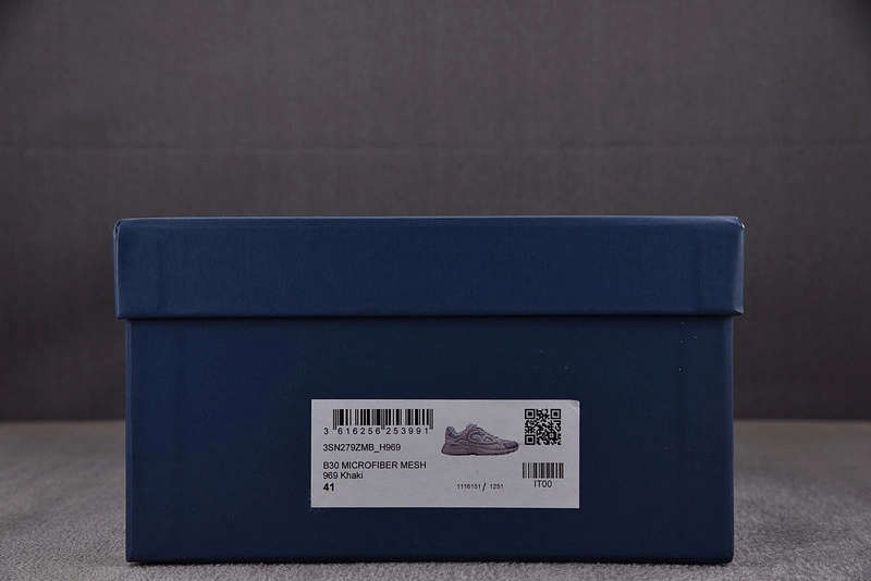 Dior B30 SNEAKER
