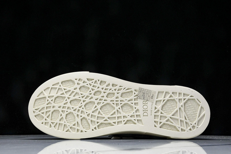 Dior B33 SNEAKER